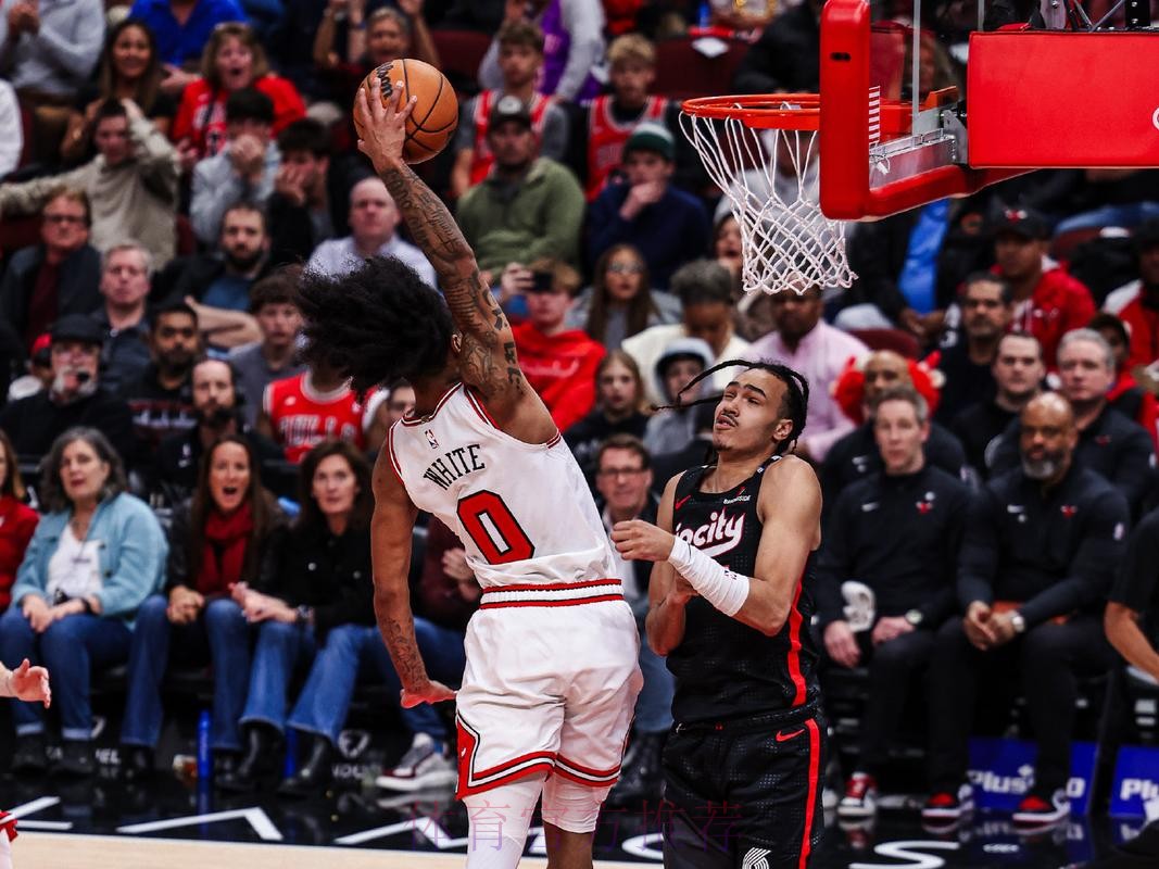 怀特24分武切维奇17+11 公牛主场轻取篮网